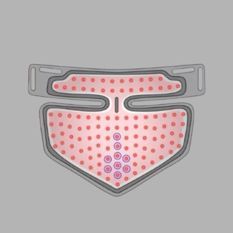 LED数が増加し、照射範囲が拡大