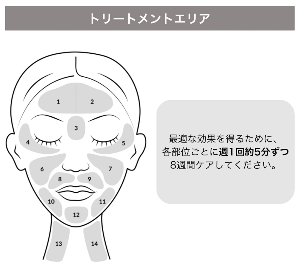 トリートメントエリア