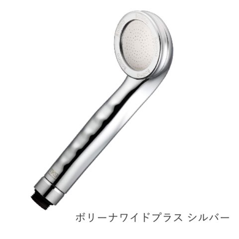 ボリーナワイドプラス シルバー